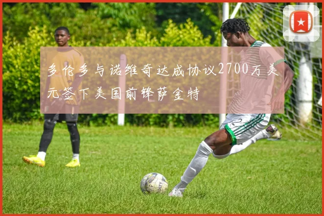 多伦多与诺维奇达成协议2700万美元签下美国前锋萨金特