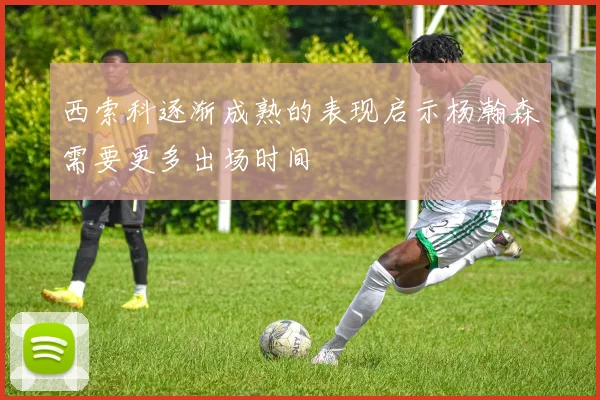 西索科逐渐成熟的表现启示杨瀚森需要更多出场时间