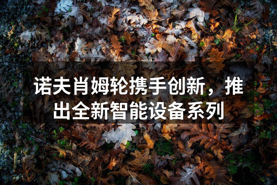 诺夫肖姆轮新款智能手表展示
