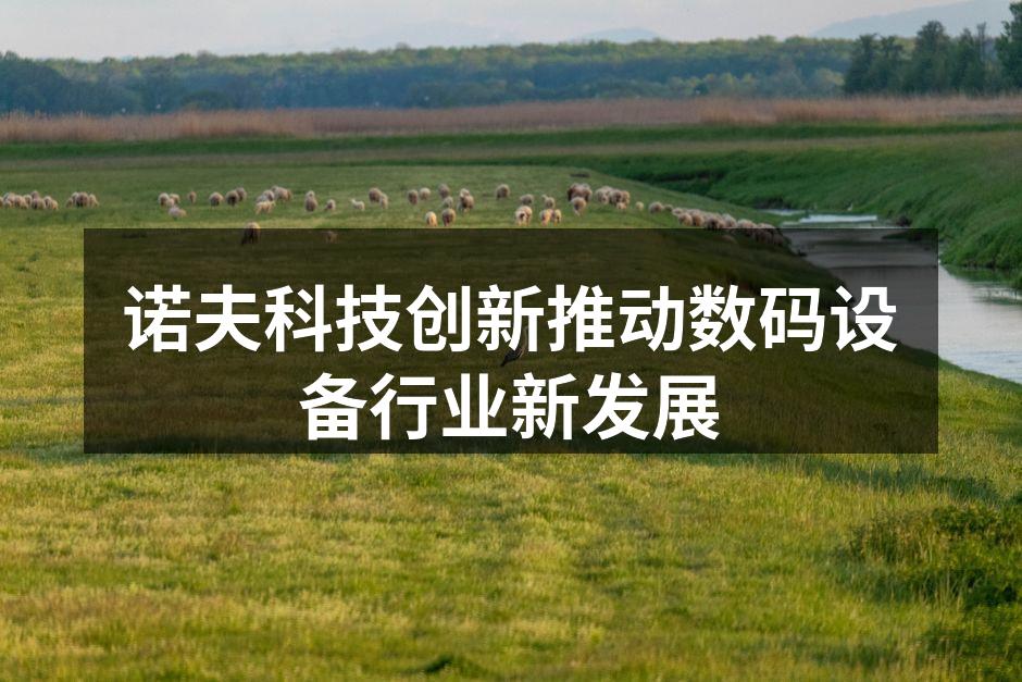 公司新产品展示